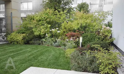 Avangardens Architektura Krajobrazu